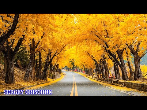 Видео: Осенняя Мелодия Любви 🍁 Романтическая расслабляющая музыка! Красивая музыка для души.