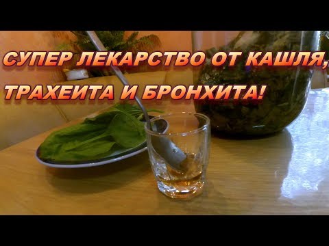 Видео: Супер лекарство от кашля, трахеита и бронхита! Рецепт сиропа подорожника