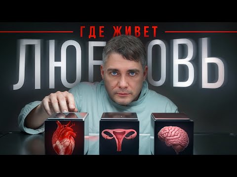Видео: Любовь и отношения. Мозг, сердце, матка. Как полюбить себя. Видео 19. Манифест Нового Человека