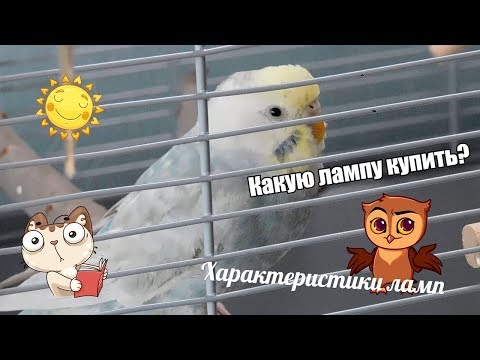 Видео: КАКУЮ ЛАМПУ КУПИТЬ? | ВЫБИРАЕМ УЛЬТРАФИОЛЕТОВУЮ ЛАМПУ ДЛЯ ПТИЦ