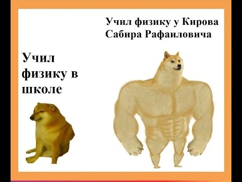 Видео: текстовые задачи егэ огэ