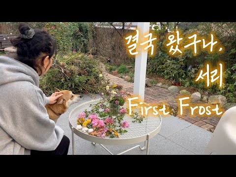Видео: Эпизод 206: Вот и мороз! | Первые заморозки | Садовый работник | Садоводство | Семейная жизнь | Д...