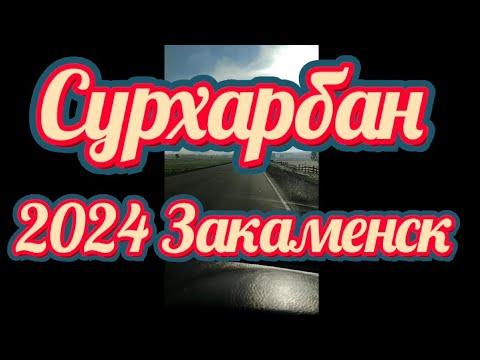 Видео: Сурхарбан 2024.Закаменск местность Мойсоты.