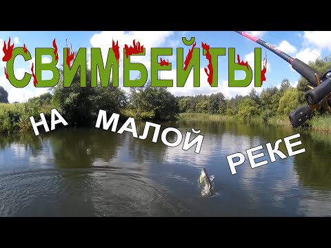 Видео: Щука разрывает КРУПНЫЕ ПРИМАНКИ! Ловля щуки на свимбейты на малой реке / РЫБАЛКА