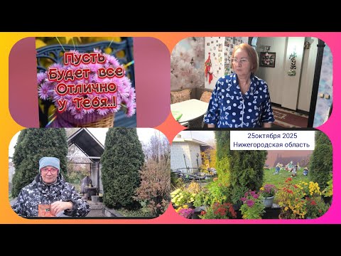 Видео: То на кухне,то в огороде! Жизнь в деревне 🏡