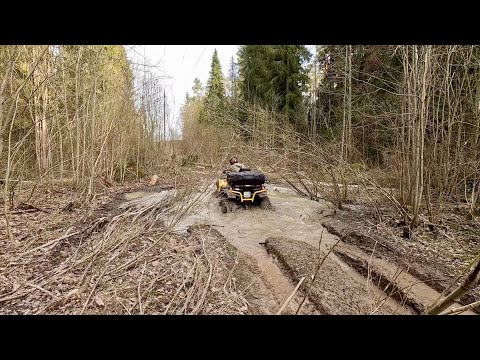 Видео: Первый весенний выезд
