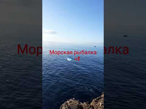 Видео: морская рыбалка 🐟 сарган на поплавок часть 1