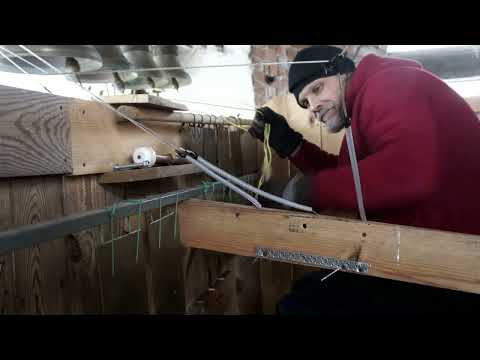 Видео: Орган и Колокол едины. #колокольныйзвон @korfolion