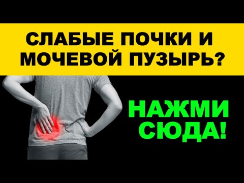 Видео: Здоровье почек и мочевого пузыря: простые практики дома