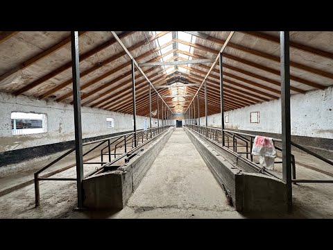 Видео: МАЛ САРАЙ САТЫЛАТ СОКУЛУК 2024