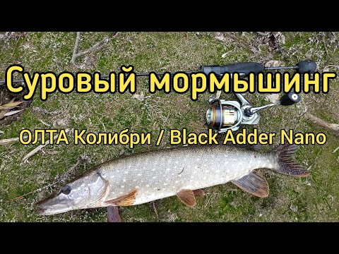 Видео: Злые щуки будут наказаны! Суровый мормышинг или мормо-микроджиг. ОЛТА Колибри / Black Adder Nano