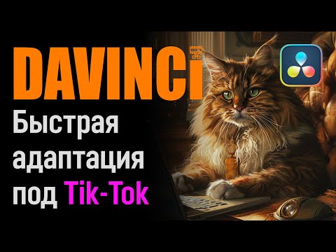 Видео: Как быстро адаптировать ролик под Тик Ток в DaVinci Resolve. Scene Cut Detects и Reframe