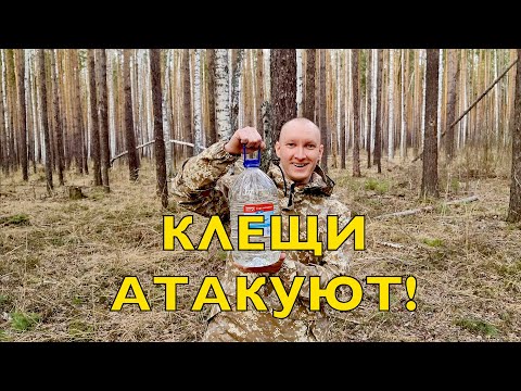 Видео: Посылка АЛЁНЕ ЦВЕТАЕВОЙ | Берёзовый сок | Первые заказы | Клещи атакуют