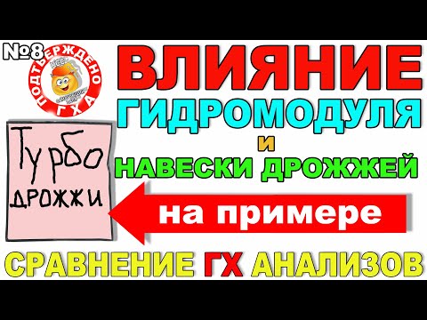 Видео: ВЛИЯНИЕ ГИДРОМОДУЛЯ И НАВЕСКИ ДРОЖЖЕЙ НА КАЧЕСТВО БРАГИ!ПРИМЕР С ТУРБО ДРОЖЖАМИ!СРАВНЕНИЕ ГХАНАЛИЗОВ