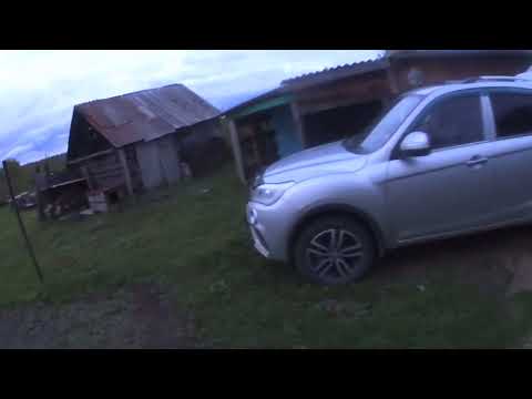 Видео: ОХОТА НА БАРСУКА С ЛАЙКАМИ, СИБИРЬ, 2024 ГОД!