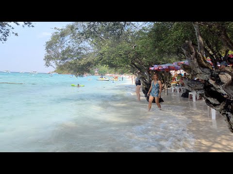 Видео: Таиланд 2024. Часть 3.  Ко Лан. Отель  Xanadu Beach Resort