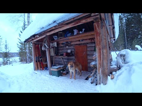 Видео: ПРОБИВАЕМ ПУТИК в ИЗБУ. ЧЕТЫРЕ ДНЯ в ТАЙГЕ. СТАВИМ СЕТИ ПОД ЛЁД на ТАЁЖНОМ ОЗЕРЕ. Часть третья.