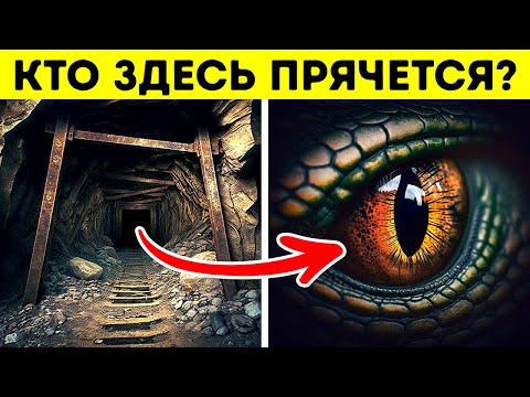 Видео: Самые жуткие заброшенные шахты в мире