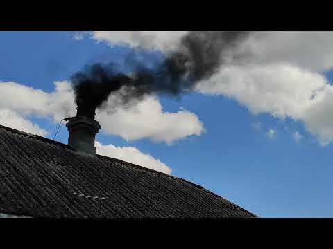 Видео: Трусимо сажу.     3 вересня 2023 р.
