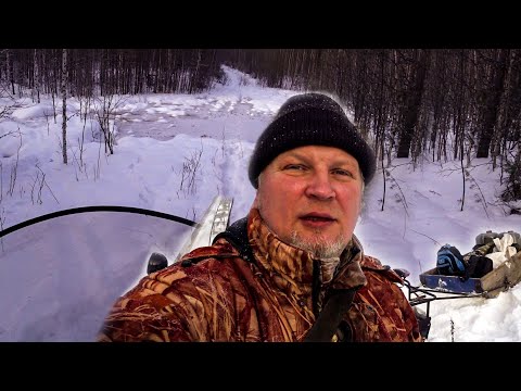 Видео: ЗАЕЗД В ТАЙГУ 2019 ПЕРВАЯ ИЗБА (СНЕГОХОД БУРАН АДЕ)