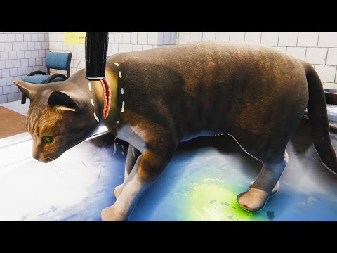 Видео: Приют для Кошек и Собак Пурумчата #3 Кид лечит кота в Клинике Симулятор животных Animal Shelter