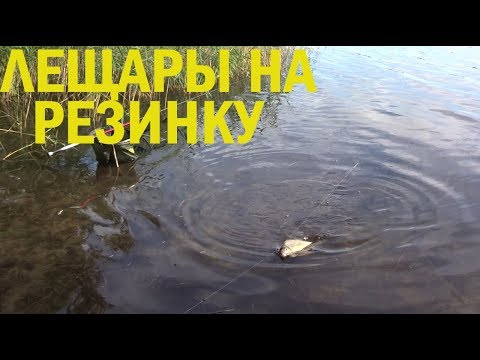 Видео: ЛОВЛЯ ЛЕЩА НА РЕЗИНКУ!!!