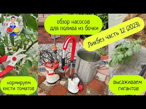 Видео: Ликбез часть 12 (2023). Обзор насосов для полива из бочки. Нормируем кисти. Арбузы-гиганты.