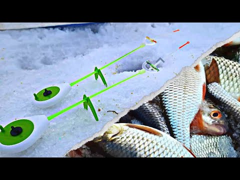 Видео: Ловля плотвы в глухозимье на тесто. Серия 1