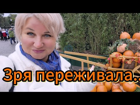 Видео: Закрыли дачный сезон 🔑 Я боялась напрасно! Что вышло и почему теперь не жалею 🌿»