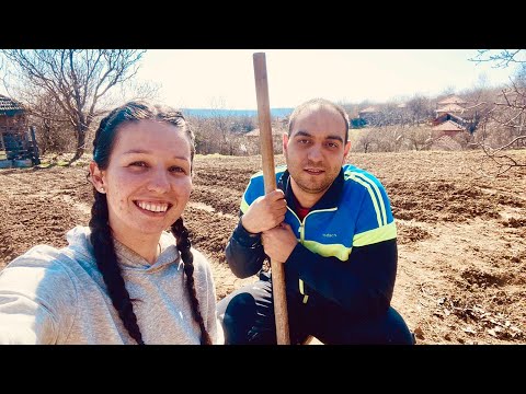 Видео: В ГРАДИНАТА С МОНИ: Първи насаждения в градината | ЖИВОТ НА СЕЛО | Boho Soulz