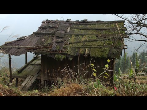 Видео: Гениальный мальчик вернулся в деревню, чтобы отремонтировать старый дом