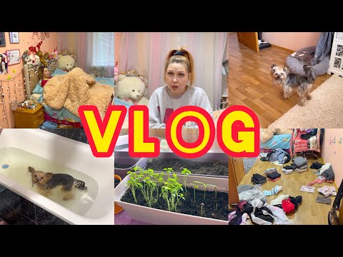 Видео: Вся правда про Польшу ❤️Стоит ли ехать? 🧐Достаю Леру🥲VLOG