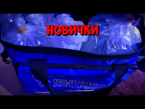 Видео: Новички из Калипсо Аква 🐬 | Морская аквариумистика 🐠