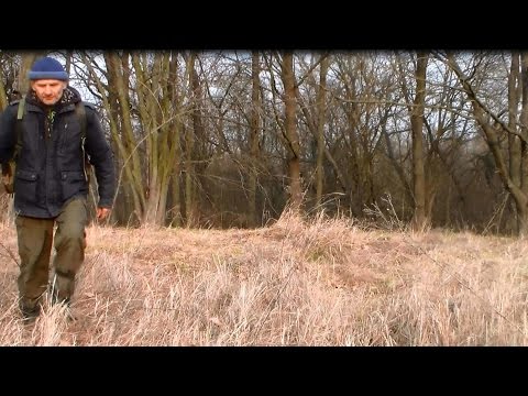 Видео: Лес.  В гостях у Лешего и Кикиморы