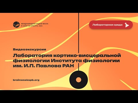 Видео: Лаборатория кортико-висцеральной физиологии Института физиологии им. И.П. Павлова РАН
