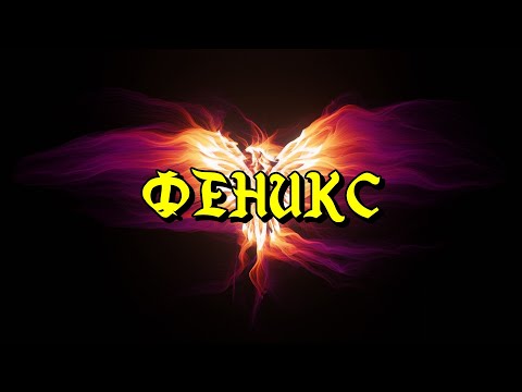 Видео: ФЕНИКС