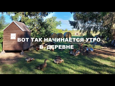 Видео: ВОСКРЕСЕНЬЕ УТРОМ🐇КРОЛИКИ🐇ДЕРЕВНЯ⛪ГЕРМАНИЯ