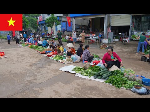 Видео: Настоящий вьетнамский рынок – рынок Сао в горах Хоабинь | Местная жизнь без фильтров
