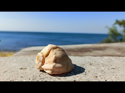 Видео: От Канаки в сторону Алушты.Рука исцеляется (часть седьмая)