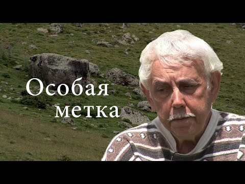 Видео: Аркадий РОВНЕР "Особая метка"