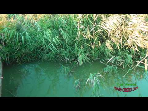 Видео: закрыли шлюз Ширкили *  Абай.  Наги Ильясов отчет(21.08.2016).