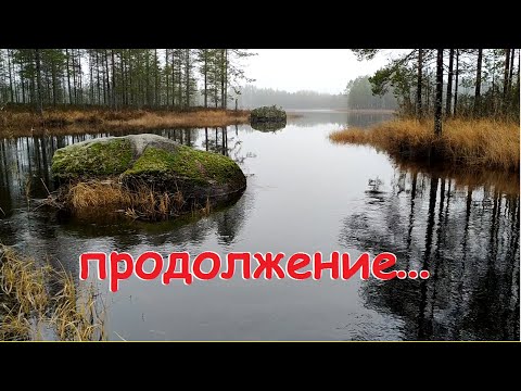 Видео: Рыбалка в Карелии (продолжение)