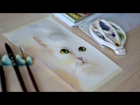 Видео: Мастер-класс #55 Котик акварелью тремя цветами.