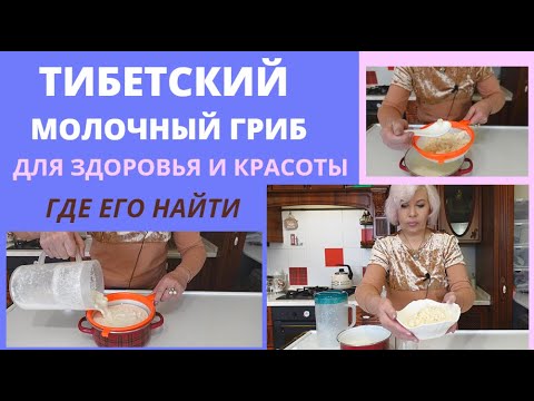 Видео: 🔴Тибетский молочный гриб🔴Для здоровья и красоты🔴Где приобрести@SubTatiana LIFEVLOG