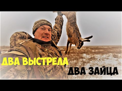 Видео: Охота на зайца "подковой" от первого лица. Коллективная охота. Hare hunting in the first person.