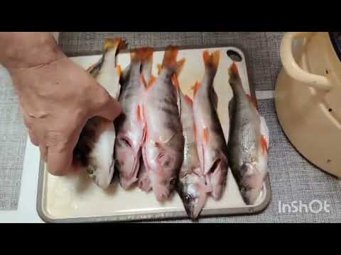 Видео: Рассол для копчения окуня