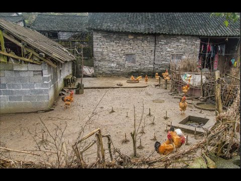 Видео: Умирающая деревня: как доживают в китайских деревнях
