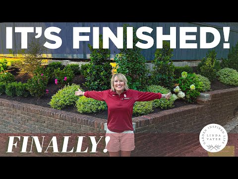 Видео: Мои любимые всесезонные садовые кустарники для осенней посадки 🍁 🌿