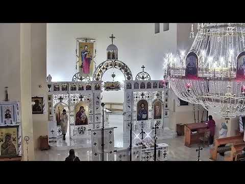 Видео: Трансляція