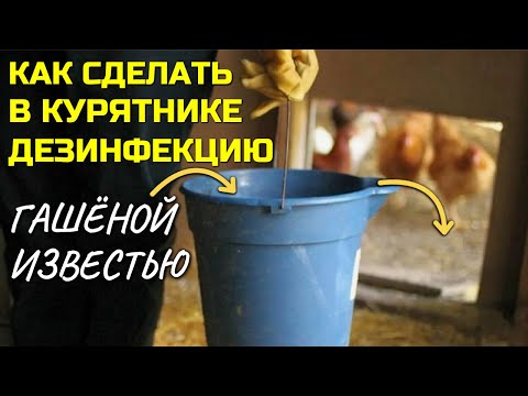 Видео: Дезинфекция курятника для кур несушек гашёной известью - дёшево, просто, эффективно!